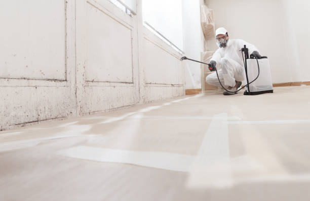24/7 Emergency Attic Mold Remediation experts in Edison, NJ